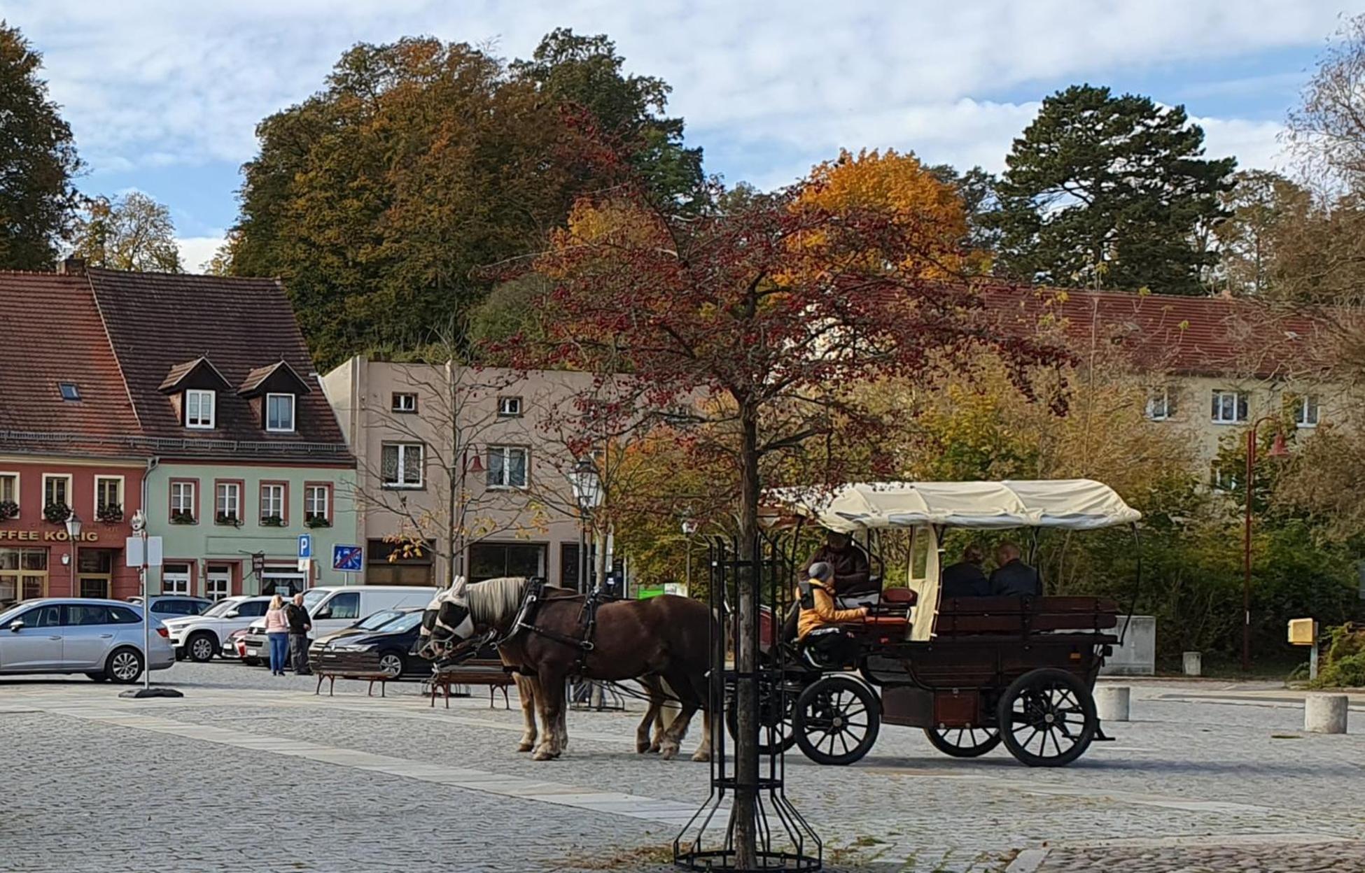 2 Gruener Fuerst Mit Sitzecke Im Innenhof & Parkplatz & Naehe Park Apartment Bad Muskau